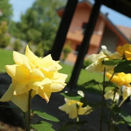 بيت للعطل Paradise